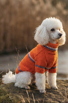 Premium Turuncu Örgü Köpek Kazağı - 2