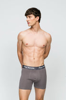 Paul Kenzie-5'li Erkek Boxer Mix & Joy-Boxer-4-Milagron.com