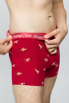 Paul Kenzie-Christmas Collection Erkek Boxer Reindeer Kisses-8-Milagron.com