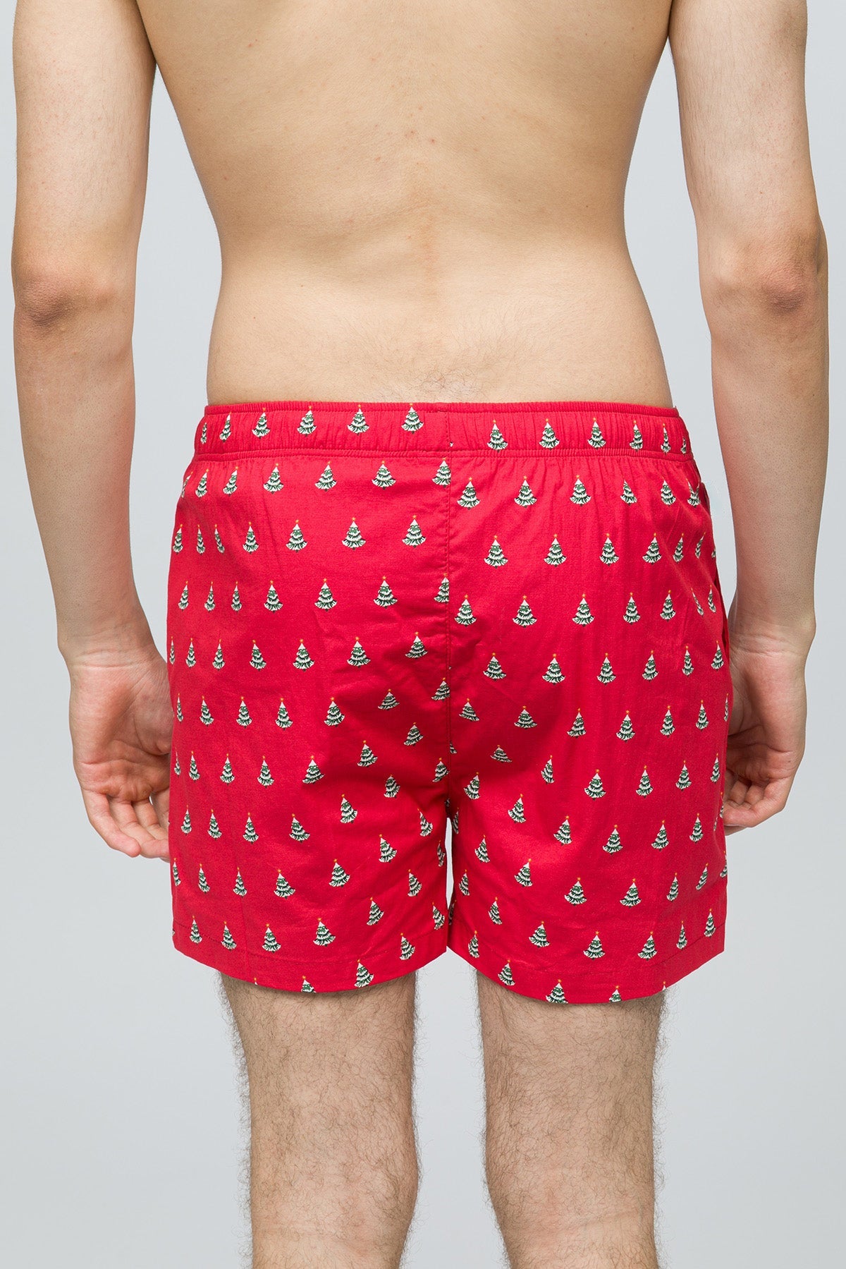 Paul Kenzie-Christmas Collection Erkek Ev şort Pine-7-Milagron.com