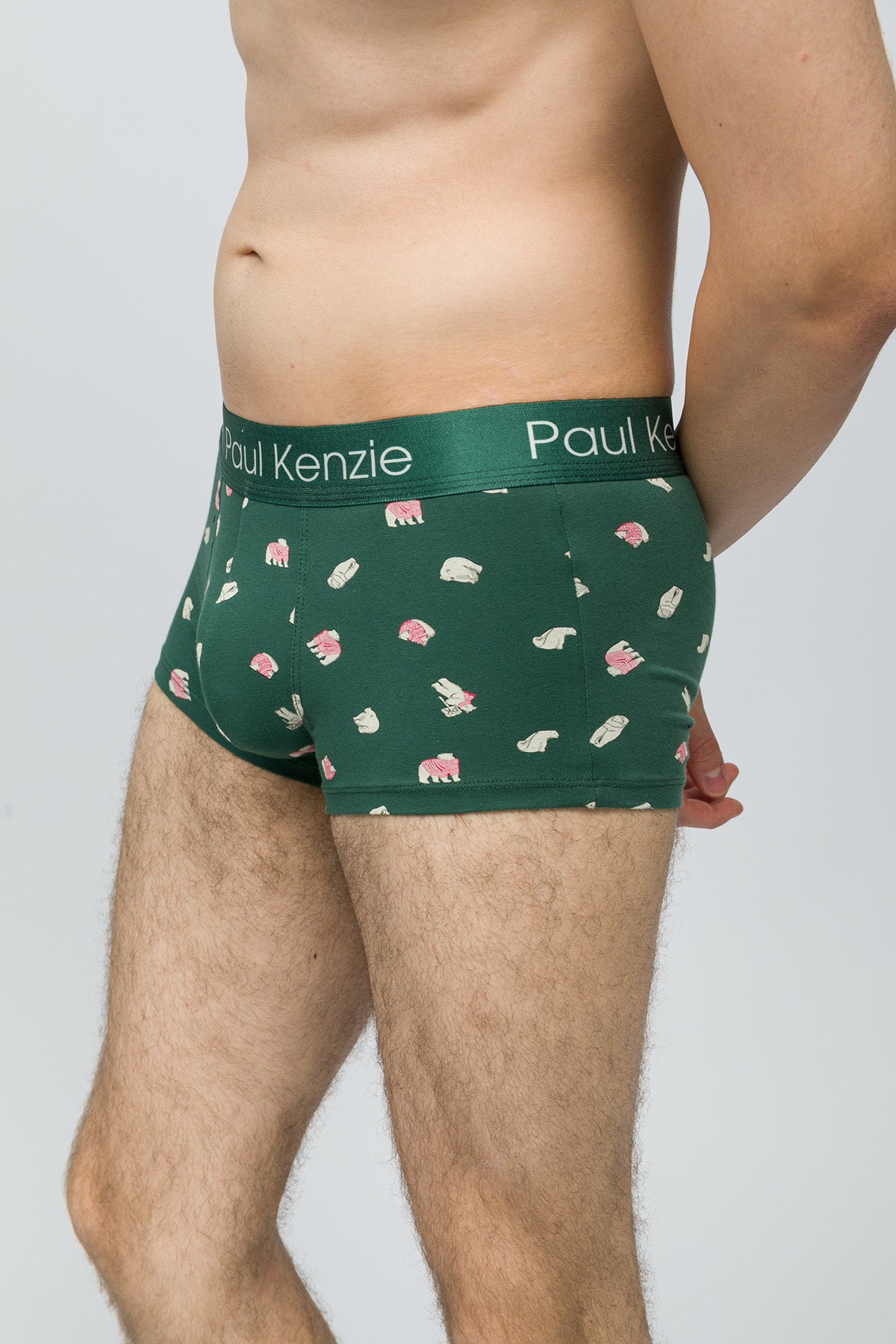 Paul Kenzie-Christmas Collection Erkek Trunk Boxer Beary-6-Milagron.com