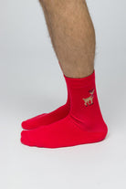 Paul Kenzie-Christmas Collection Soket çorap Reindeer Kisses-4-Milagron.com