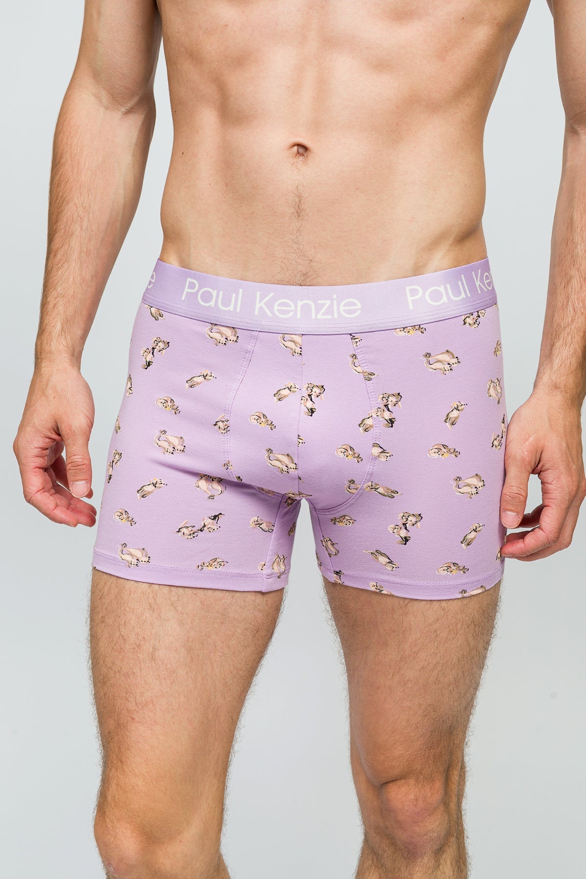 Paul Kenzie-Desenli Erkek Boxer Otter-Boxer-6-Milagron.com