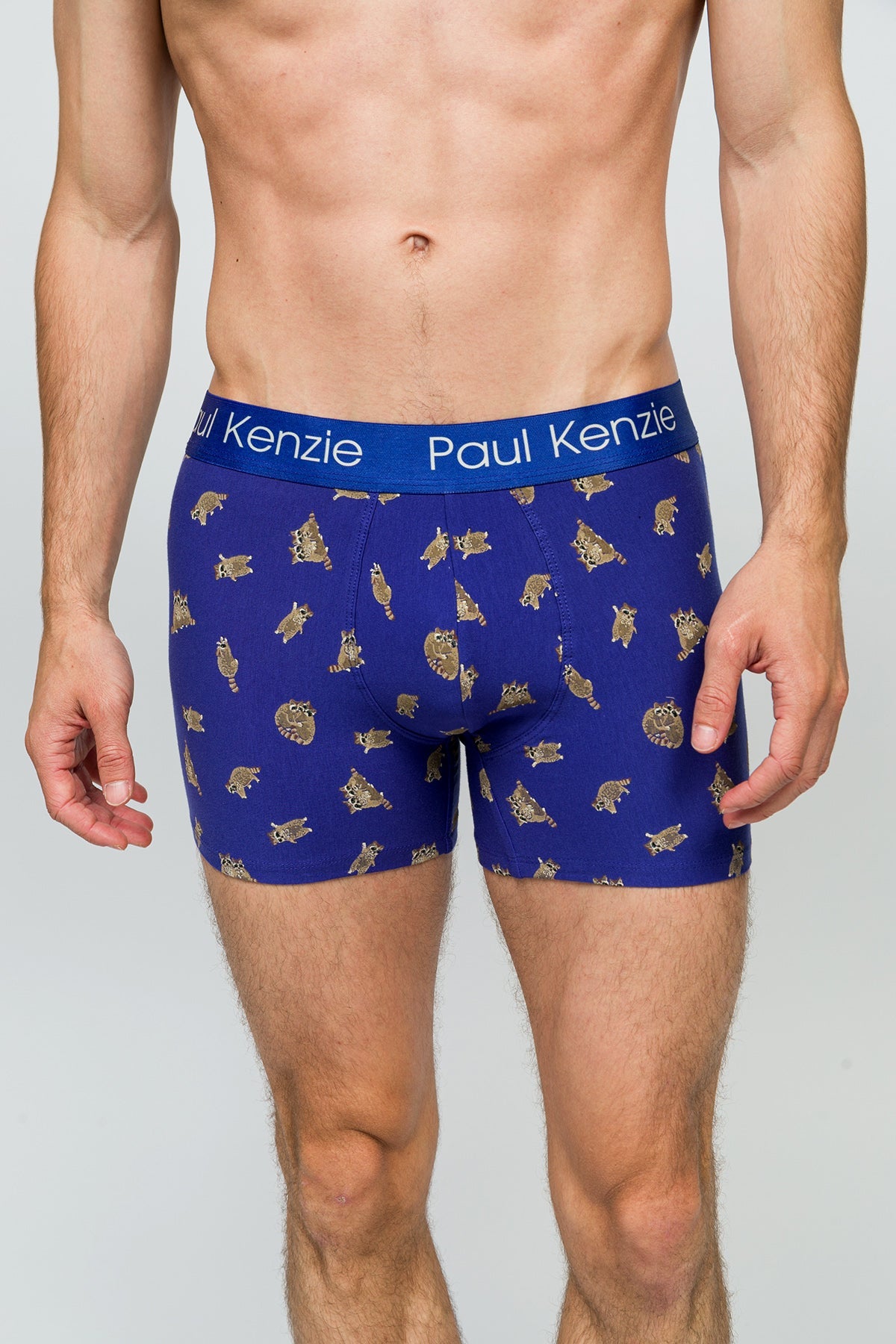 Paul Kenzie-Desenli Erkek Boxer Rakun-5-Milagron.com