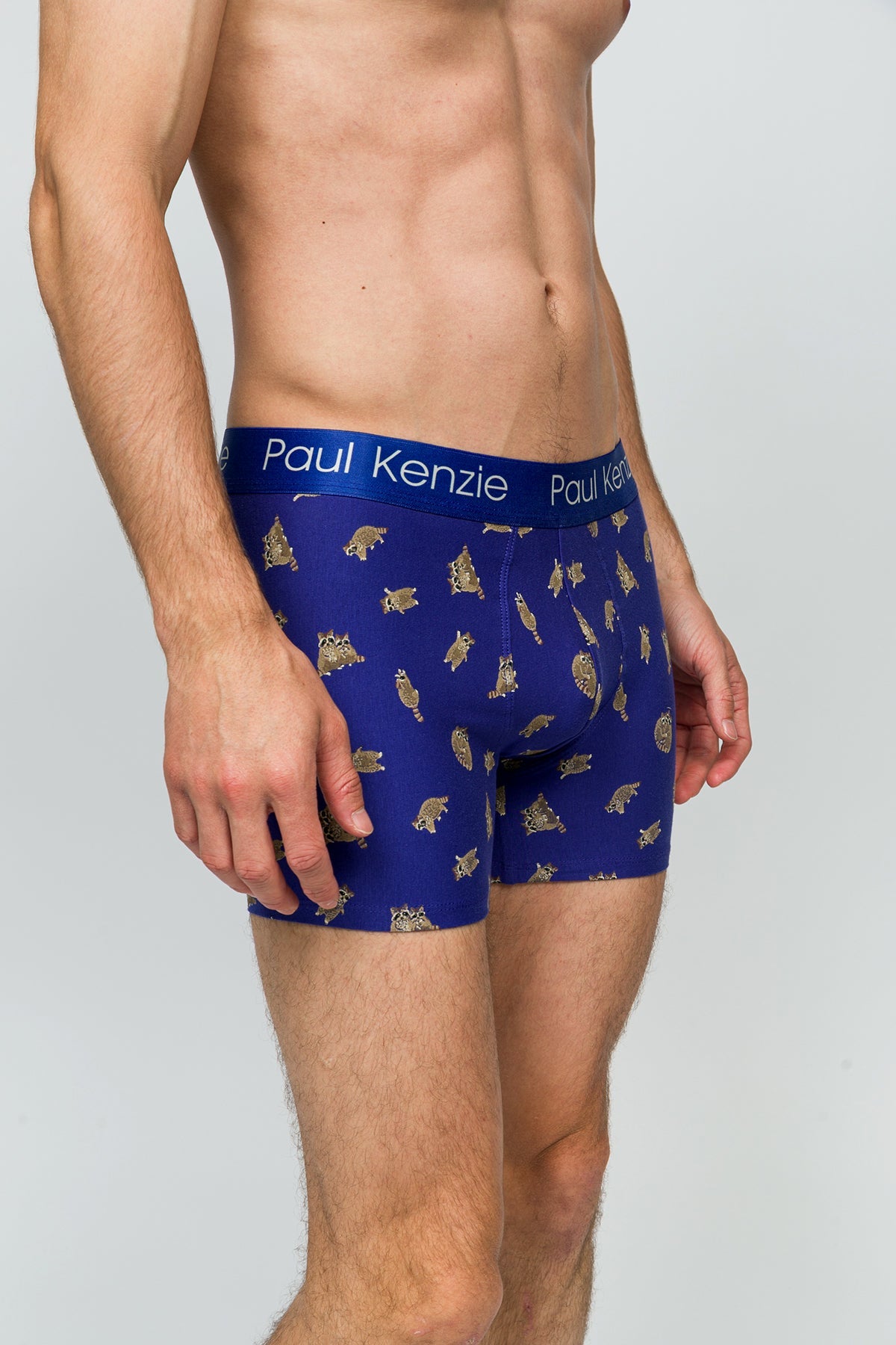 Paul Kenzie-Desenli Erkek Boxer Rakun-6-Milagron.com