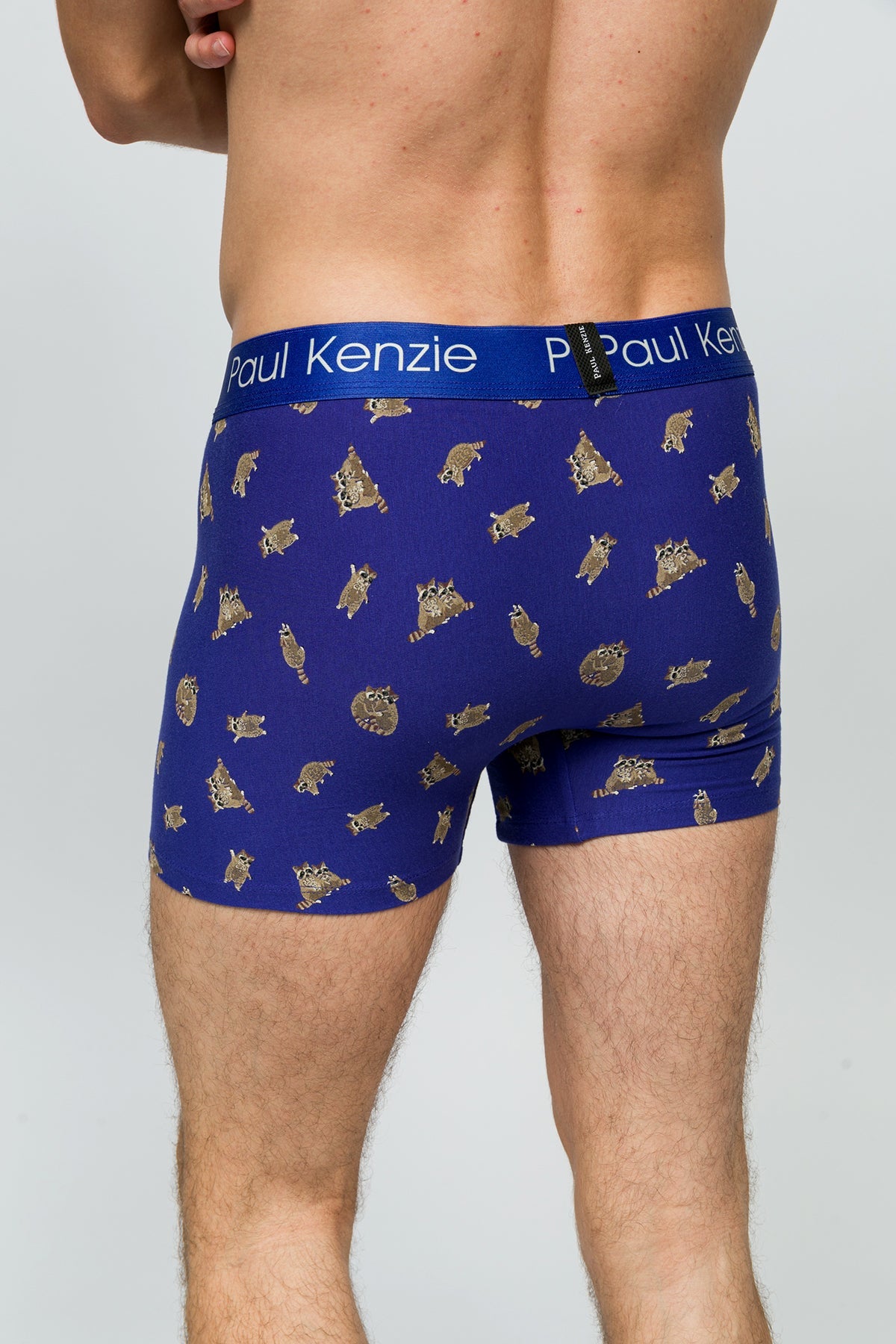 Paul Kenzie-Desenli Erkek Boxer Rakun-7-Milagron.com