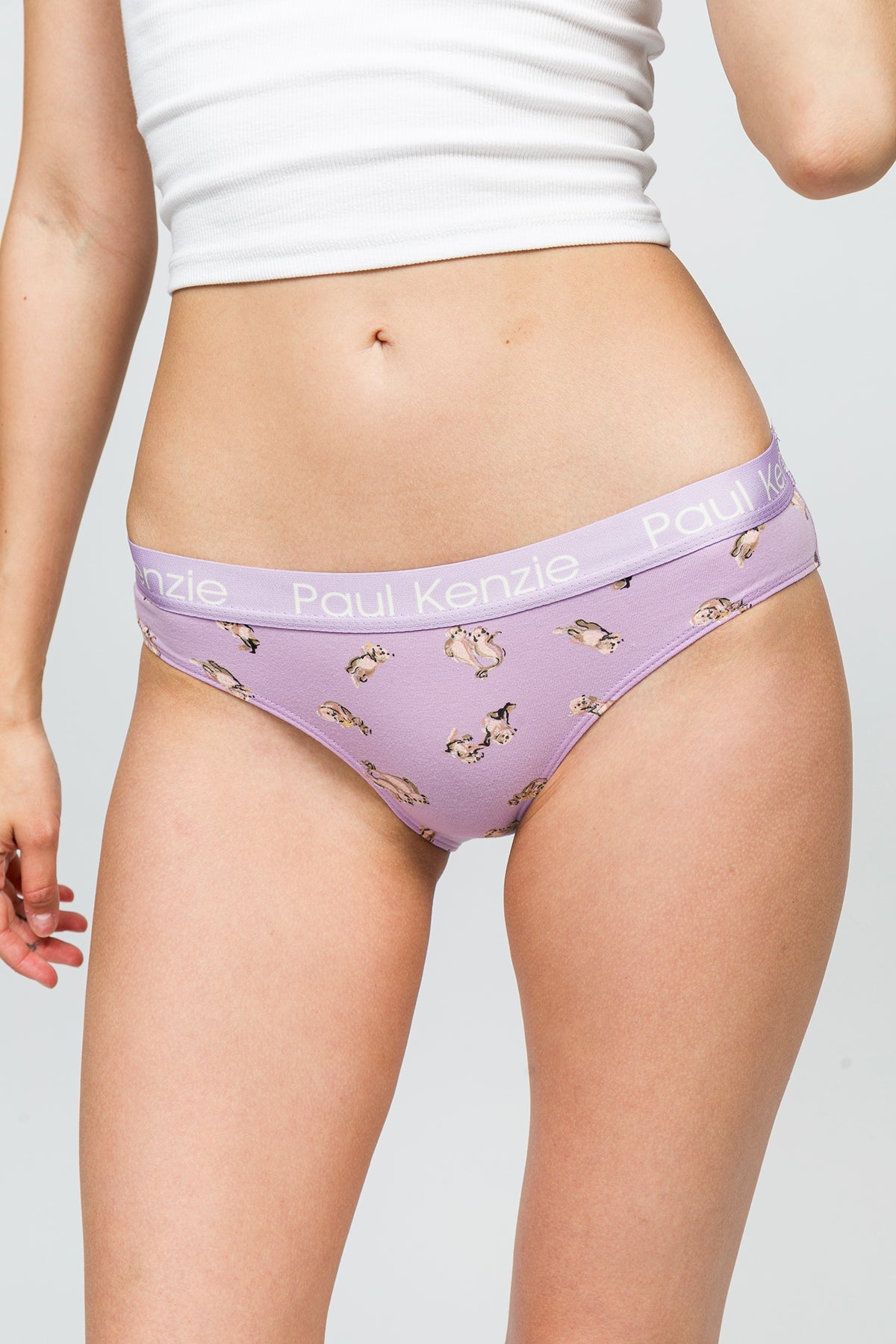 Paul Kenzie-Desenli Kadın Slip Külot Otter-5-Milagron.com