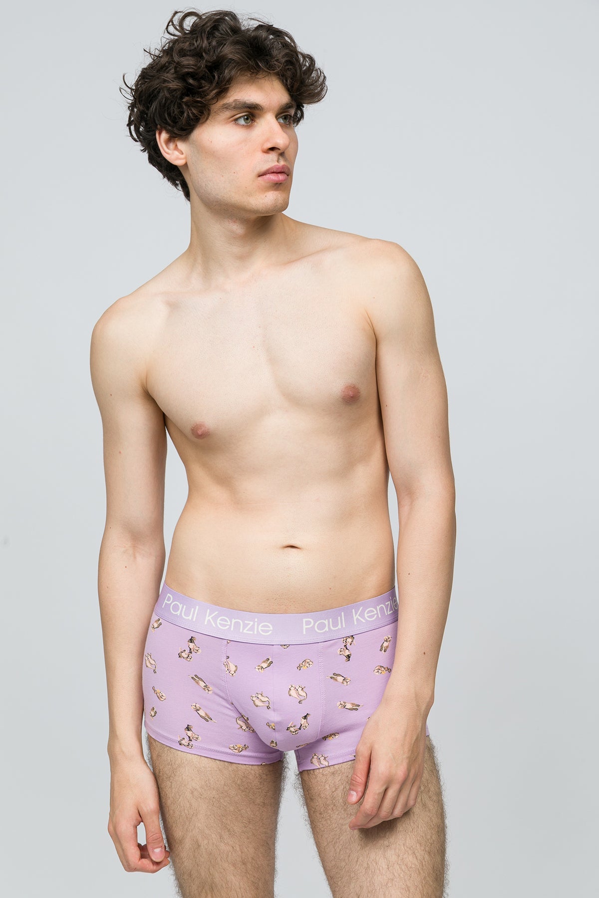 Paul Kenzie-Erkek Trunk Boxer Otter-4-Milagron.com