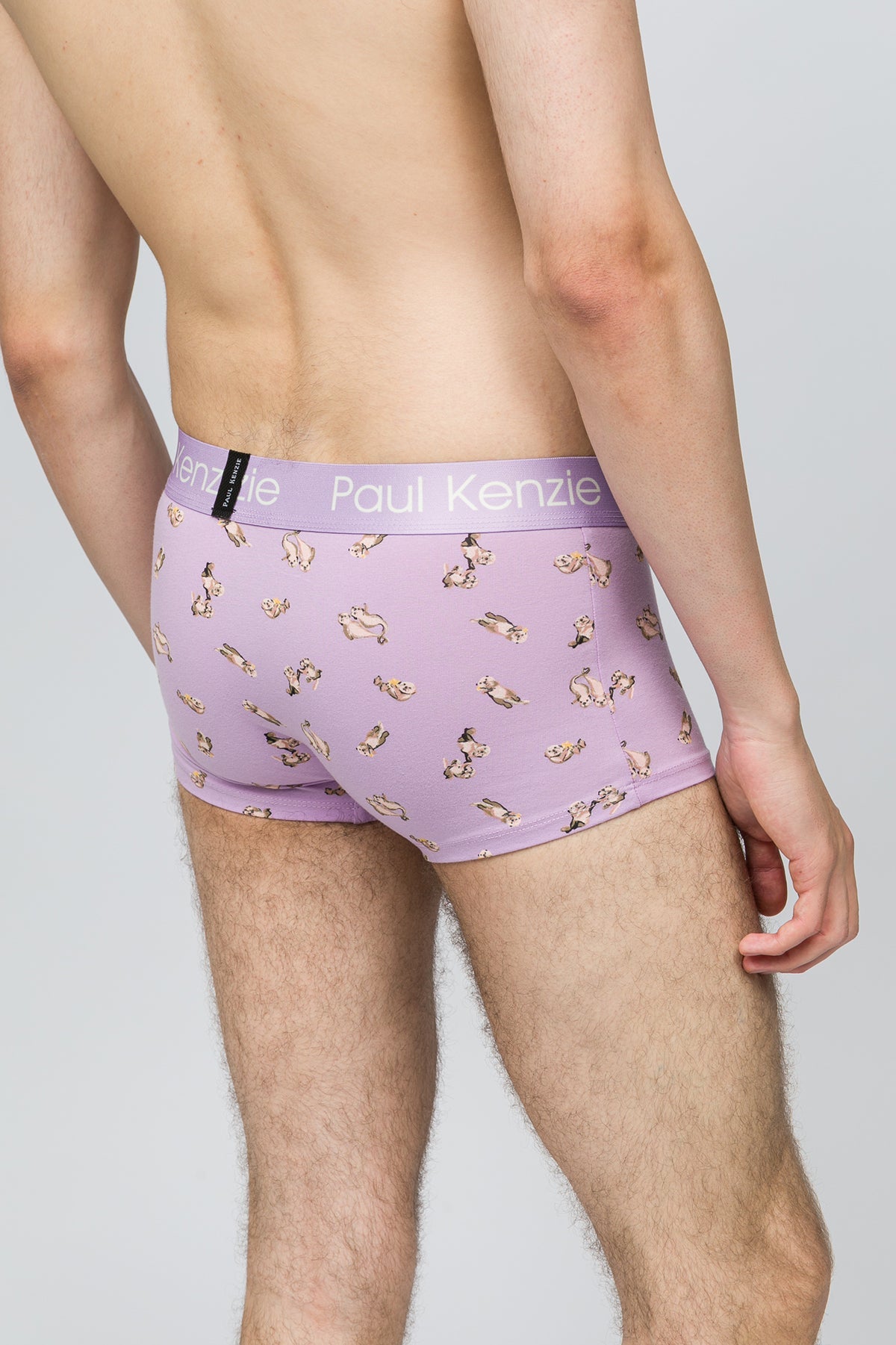 Paul Kenzie-Erkek Trunk Boxer Otter-7-Milagron.com