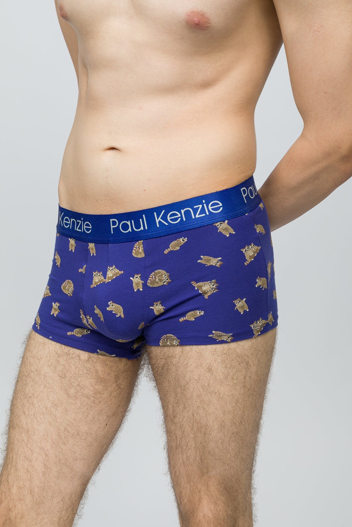 Paul Kenzie-Erkek Trunk Boxer Rakun-5-Milagron.com