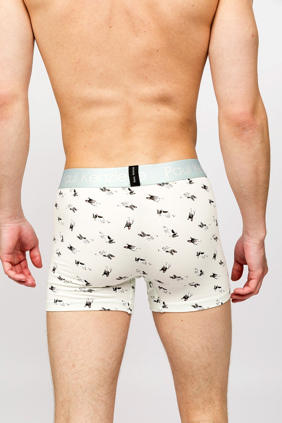 Paul Kenzie-Paul Kenzie X Kurtaran Ev Desenli Erkek Boxer Frenchie-Boxer-6-Milagron.com