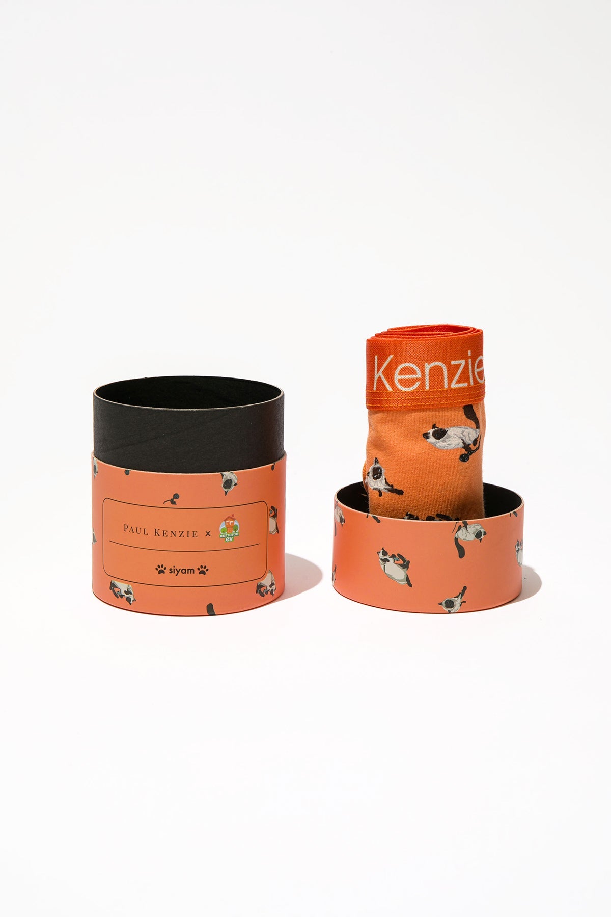 Paul Kenzie-Paul Kenzie X Kurtaran Ev Desenli Kadın String Külot Siyam-String-2-Milagron.com