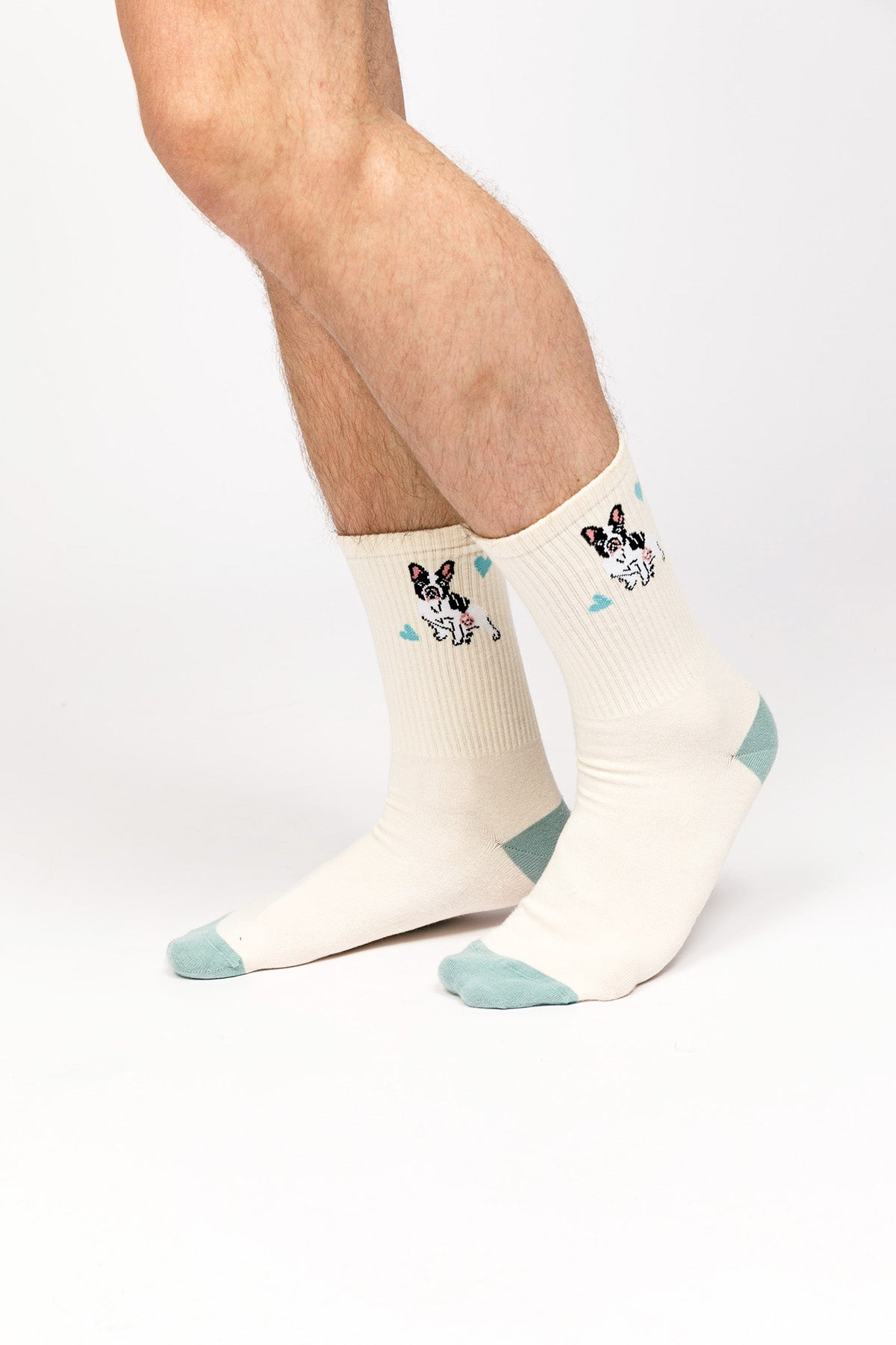 Paul Kenzie-Paul Kenzie X Kurtaran Ev Desenli Soket Çorap Frenchie-Çorap-3-Milagron.com