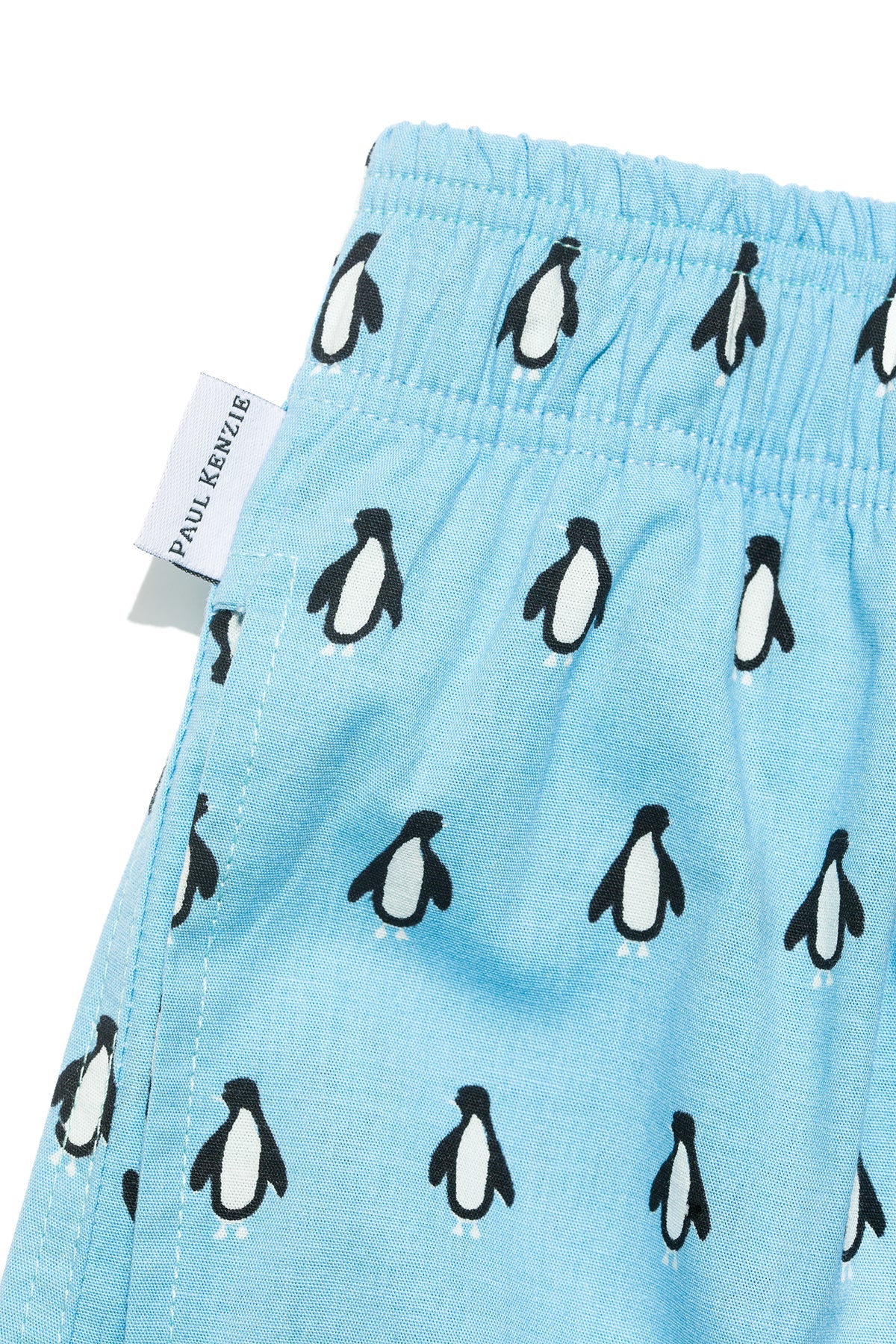 Paul Kenzie-SORUNLU - Desenli Kadın Ev şort – Chill Space Collection – Cool Like Penguin-Ev Şort-6-Milagron.com