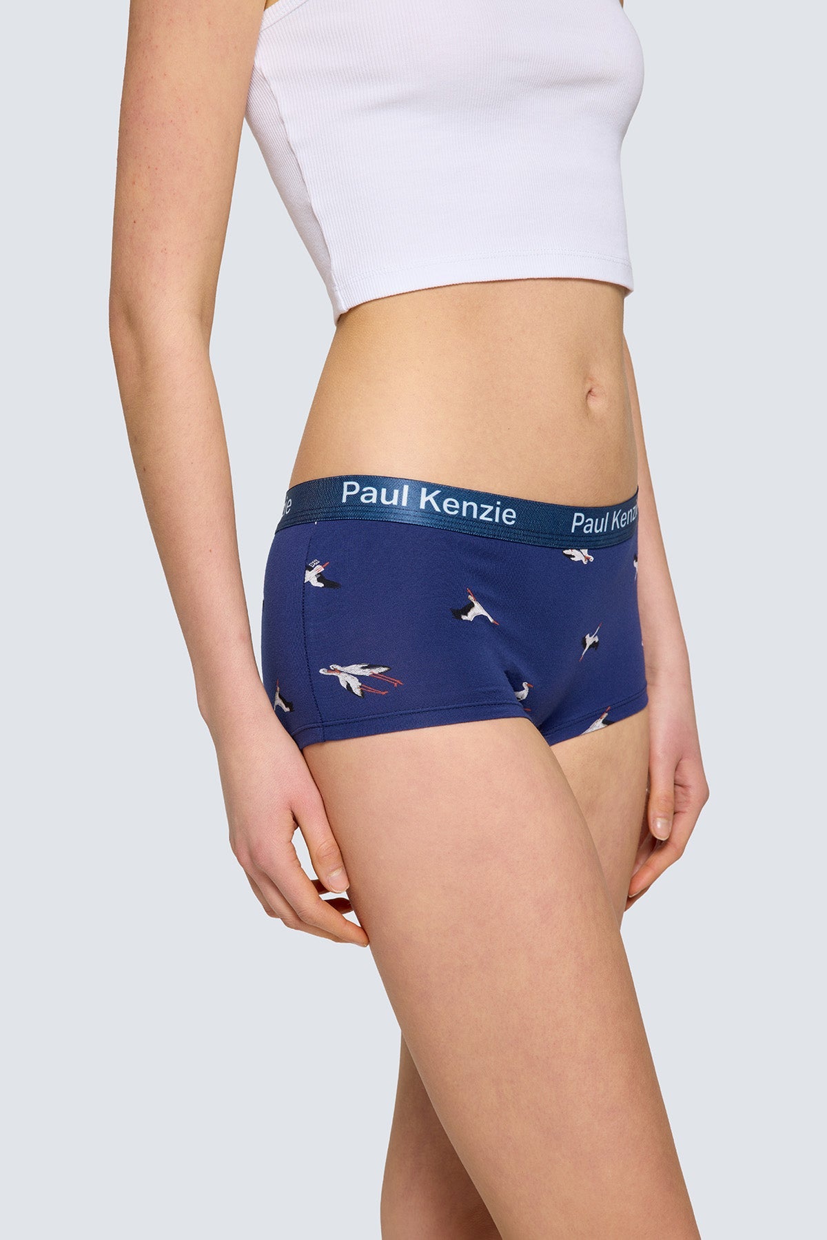 Paul Kenzie X Doğa Derneği - Desenli Kadın Boyshort Külot - Leylek