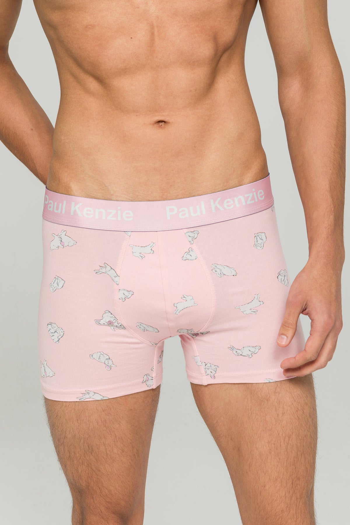 Paul Kenzie X Durex - Desenli Erkek Boxer - White Rabbit