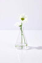 Pelcare-Daisy Floral Mist Lavender + Chamomile Hydrosol - Saf Bi̇tki̇ Suyu Yatiştirici-Cilt Serumu-3-Milagron.com