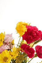 Pelcare-Spicy Almond Dry Oil - Tatli Badem Yaği İçeren Çok Amaçli Kuruyağ-Vücut Yağı-6-Milagron.com