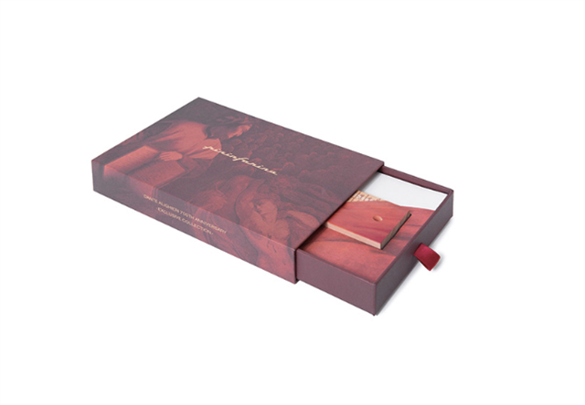 Pininfarina-Segno Cambiano 700th Anniversary Box Viva Dante Alighieri Ethergraf Kalem-Etergraph Kalem-3-Milagron.com
