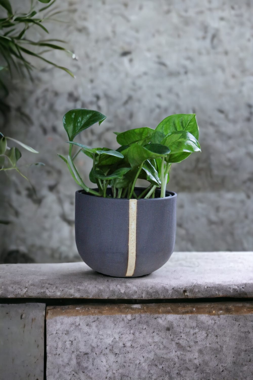 Plant In Da House-Stoneware Seramik Saksı - Il-Dekoratif Saksı-1-Milagron.com