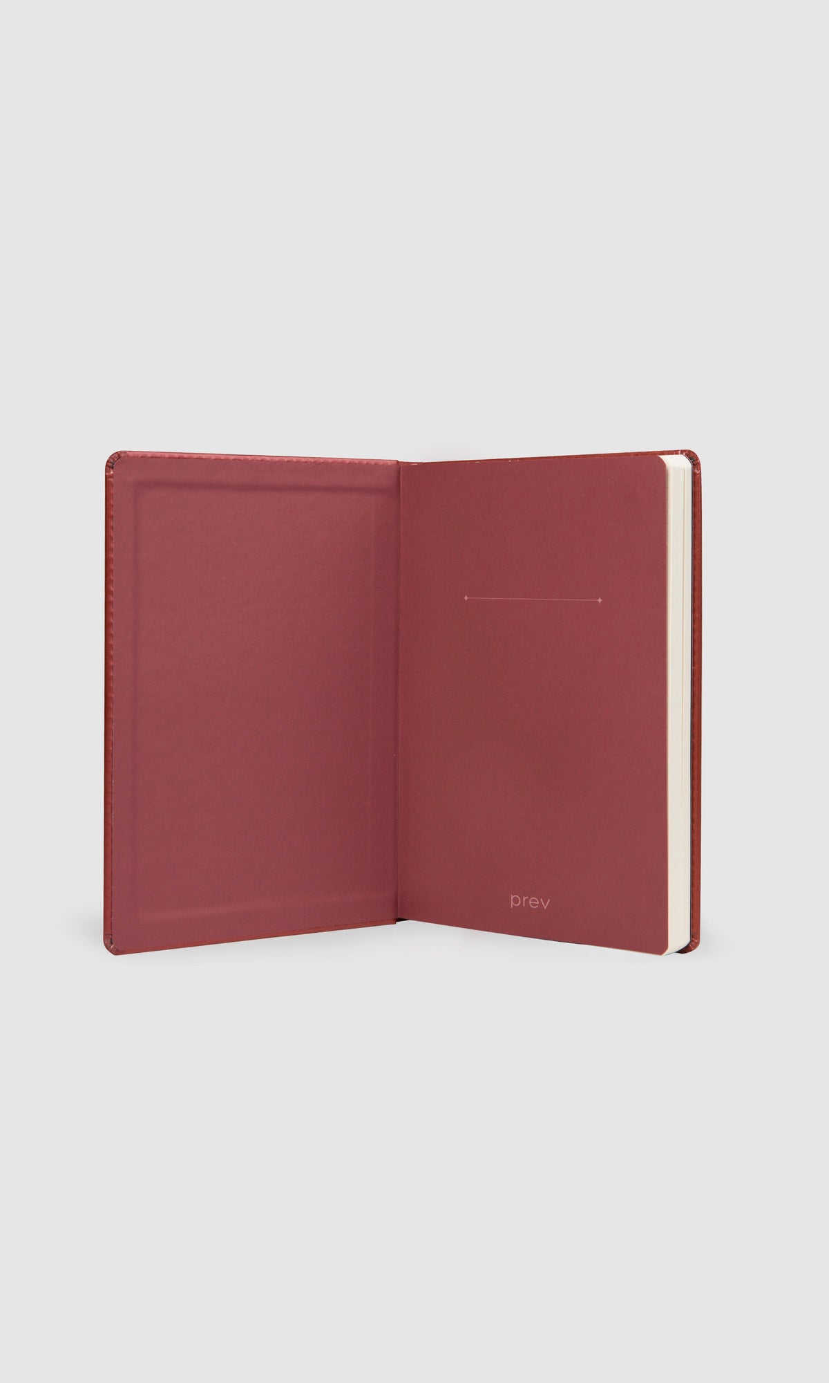 Bullet Journal - Spark