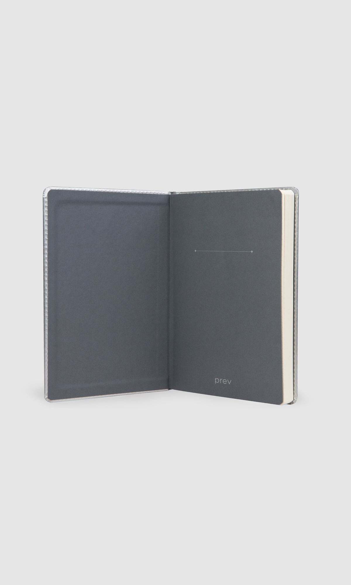 Bullet Journal - Ray