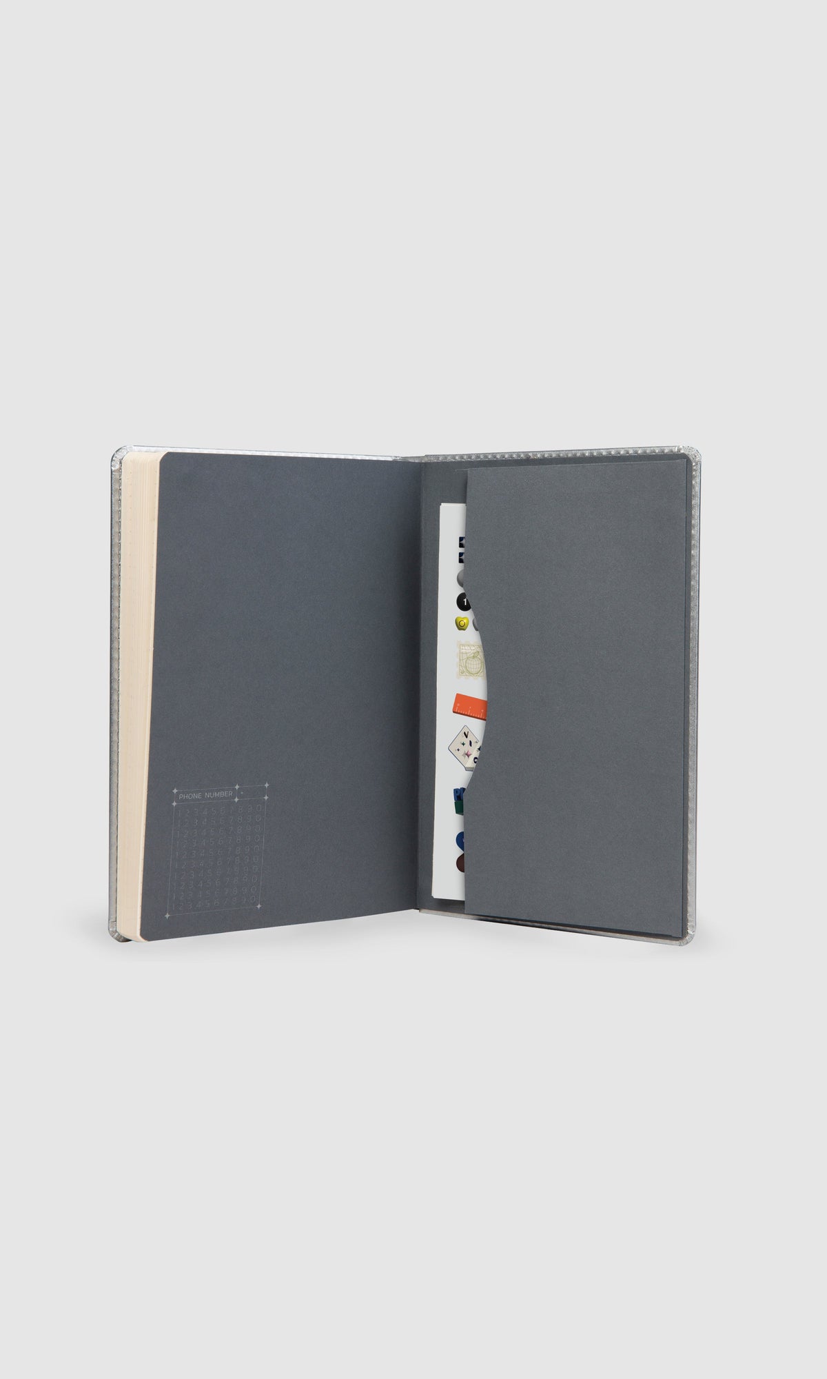 Bullet Journal - Ray