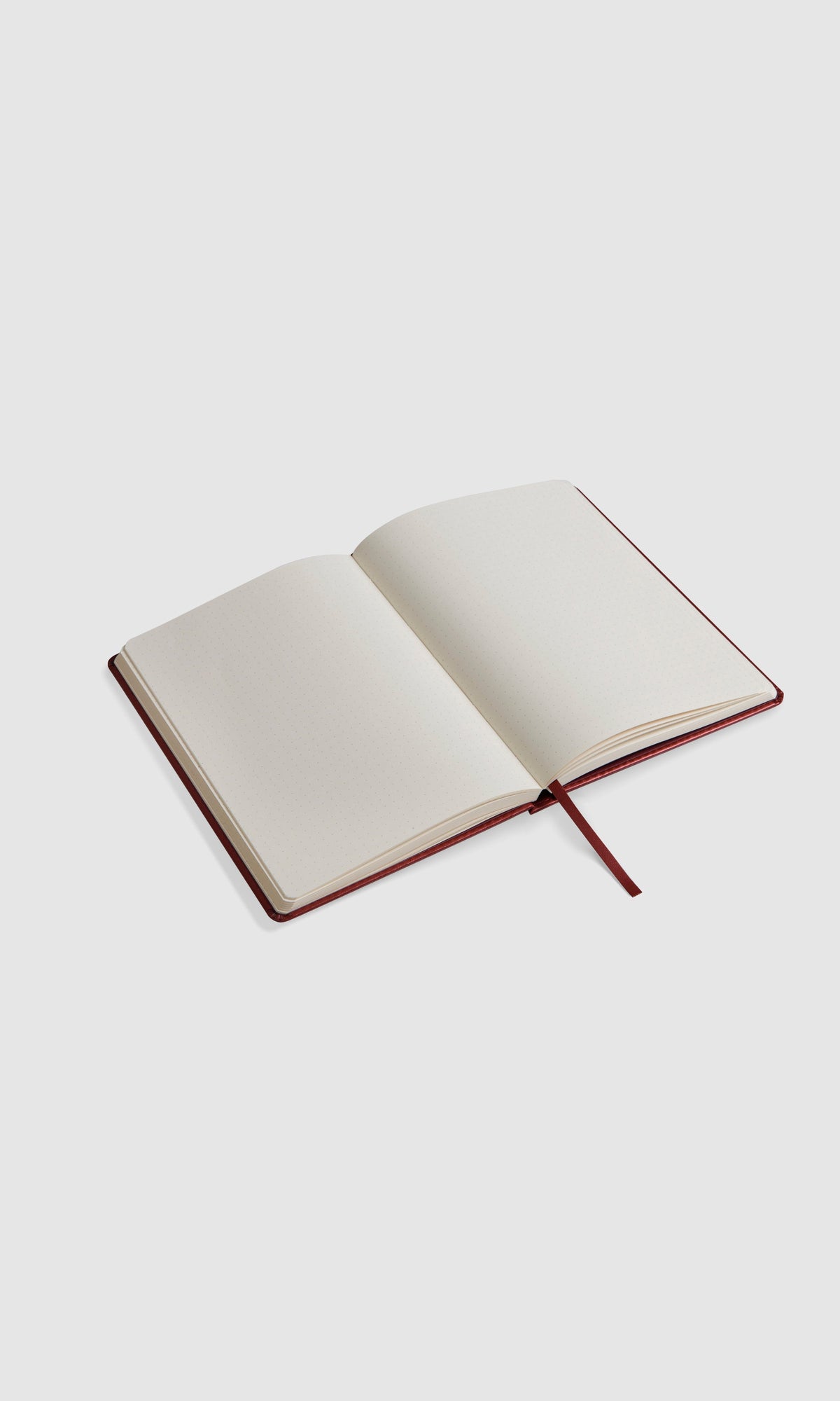 Bullet Journal - Spark