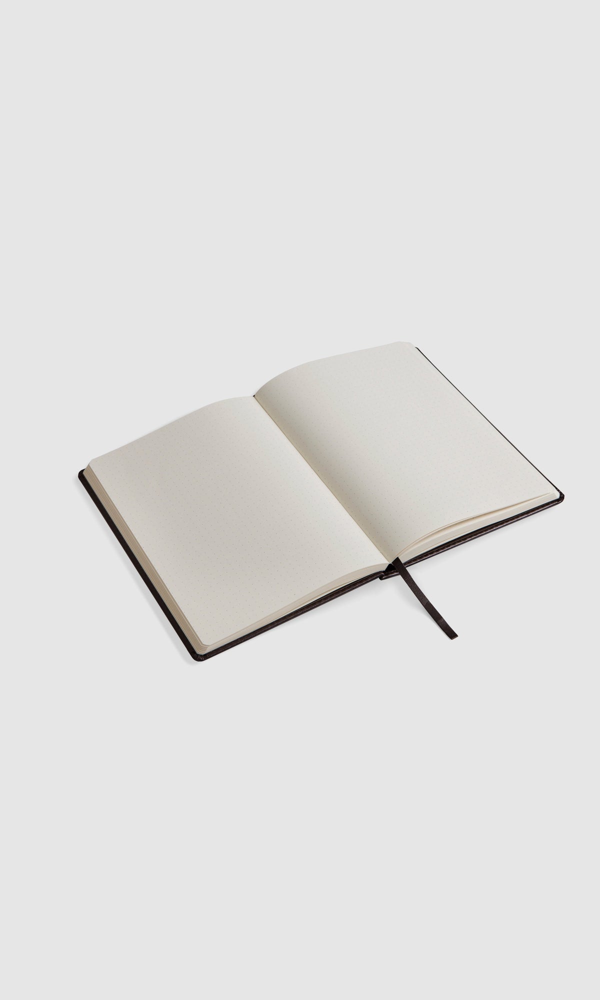 Bullet Journal - Echo
