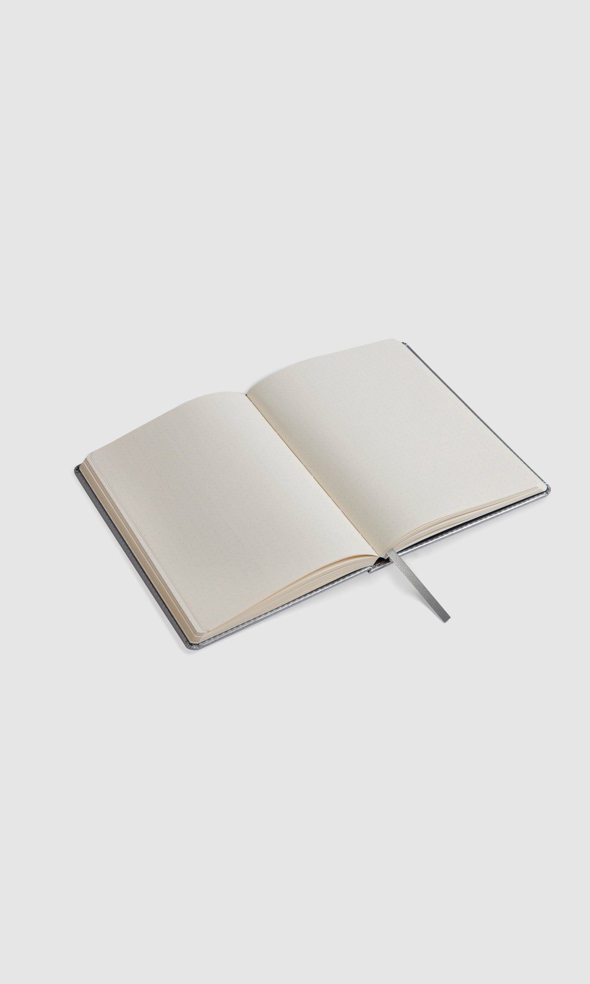 Bullet Journal - Ray