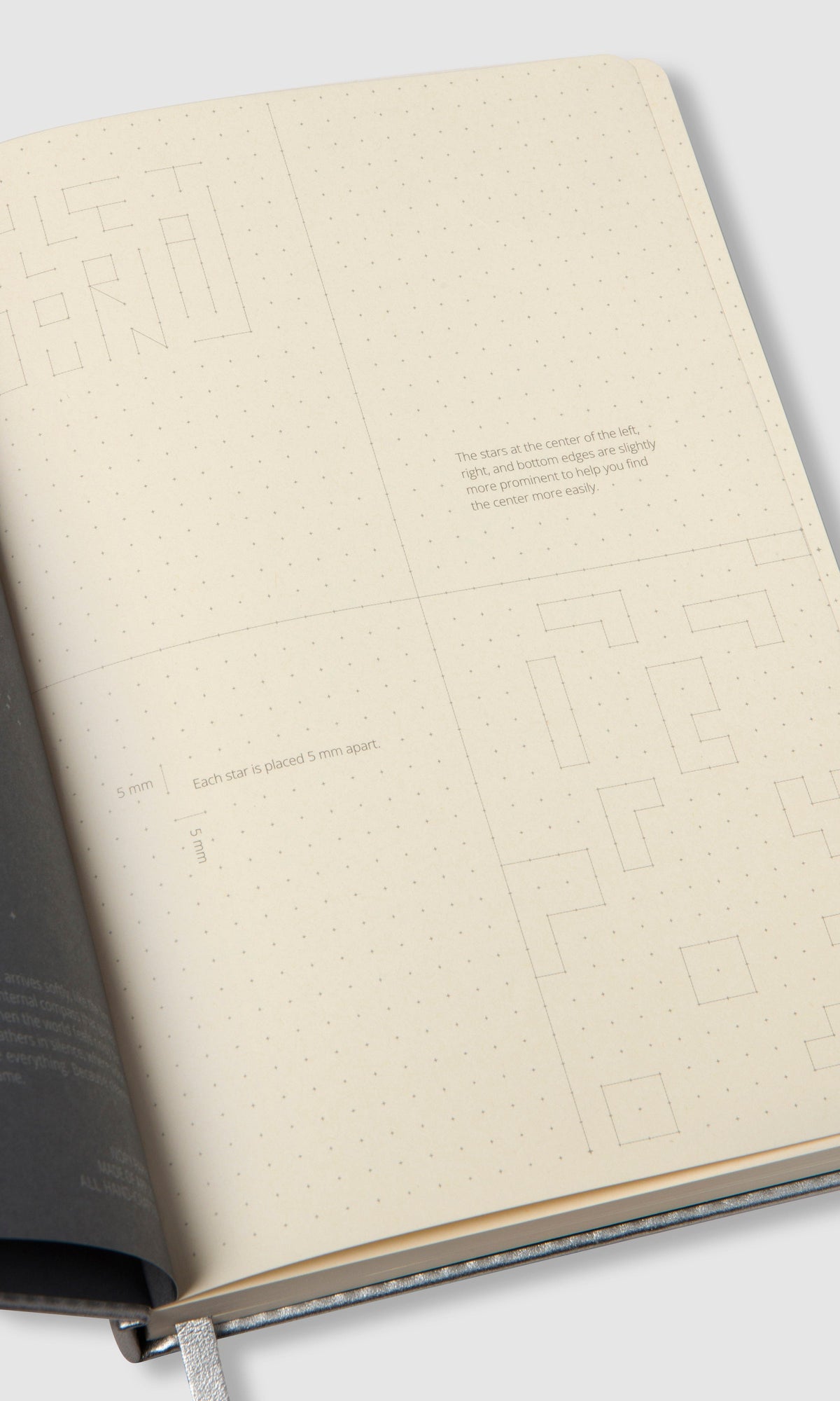 Bullet Journal - Ray