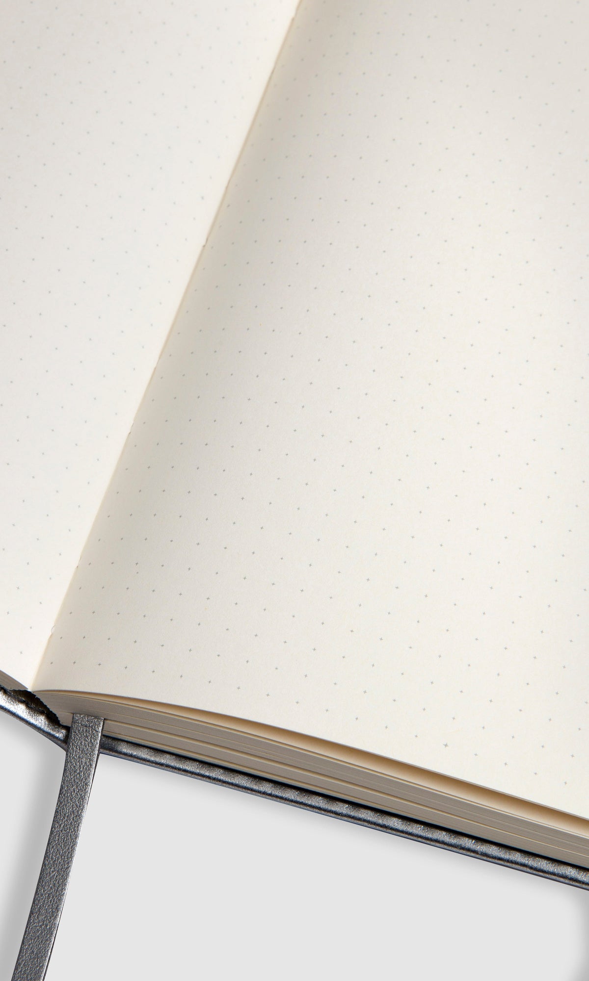 Bullet Journal - Ray