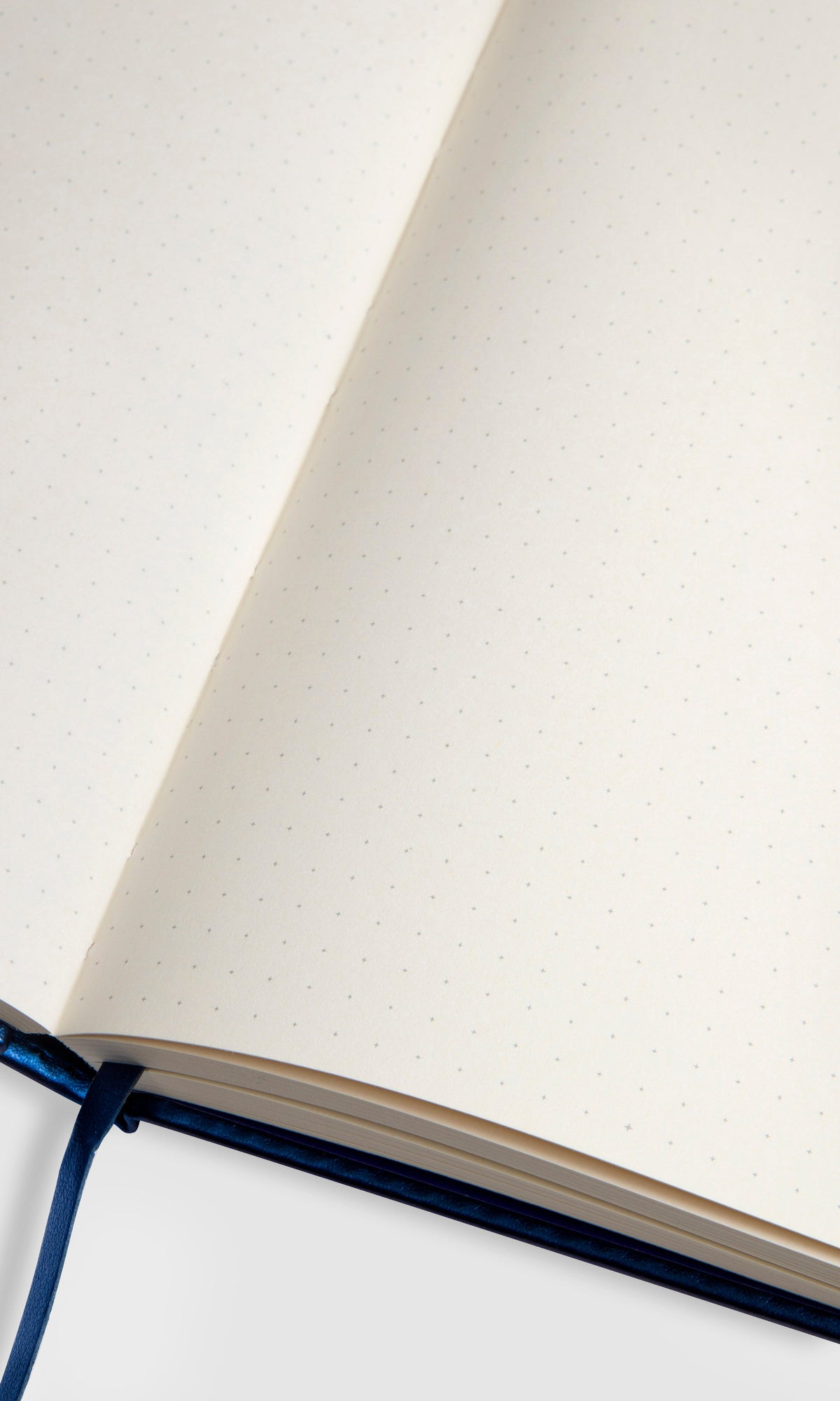 Bullet Journal - Pulse