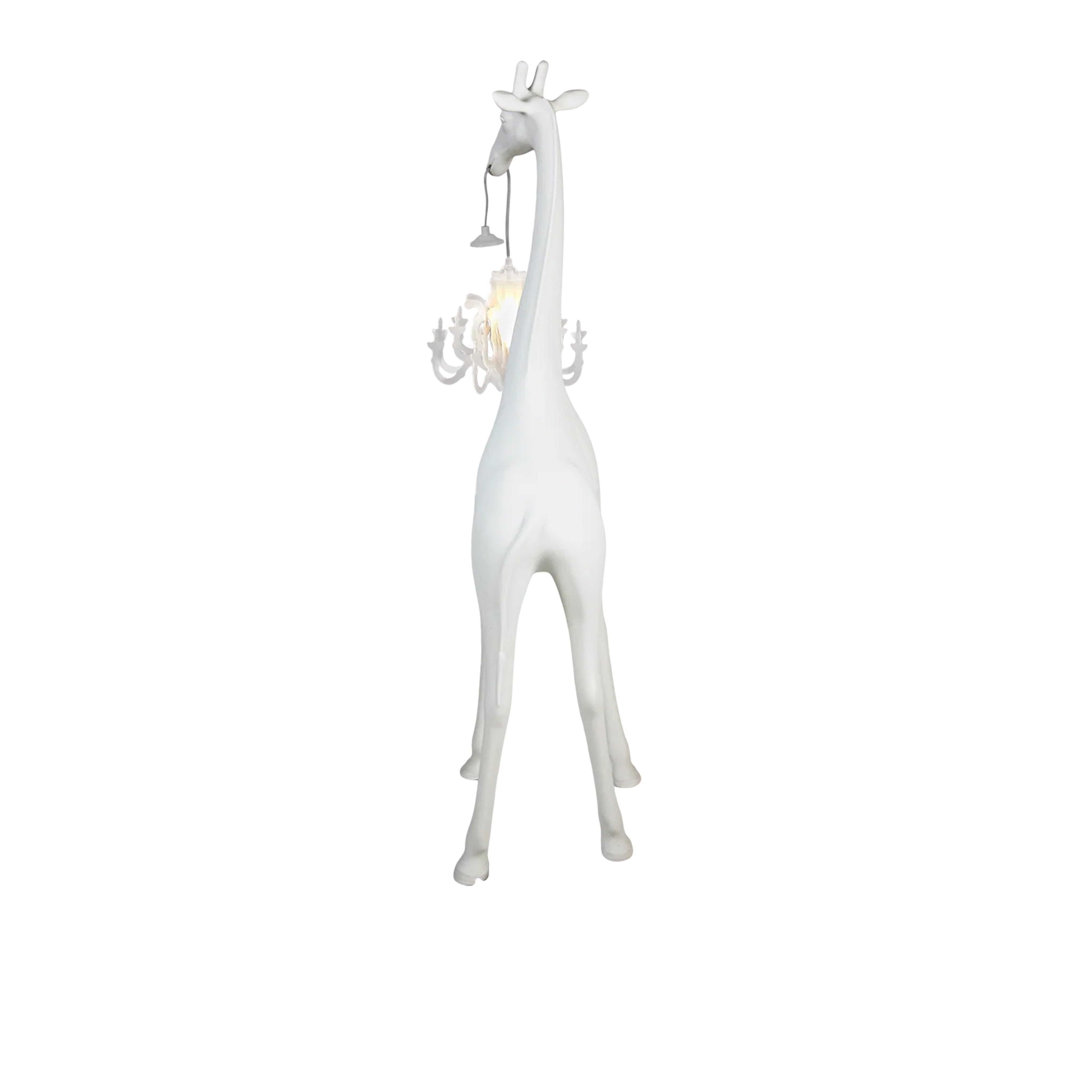 Giraffe In Love Xs Beyaz Masaüstü Aydınlatması