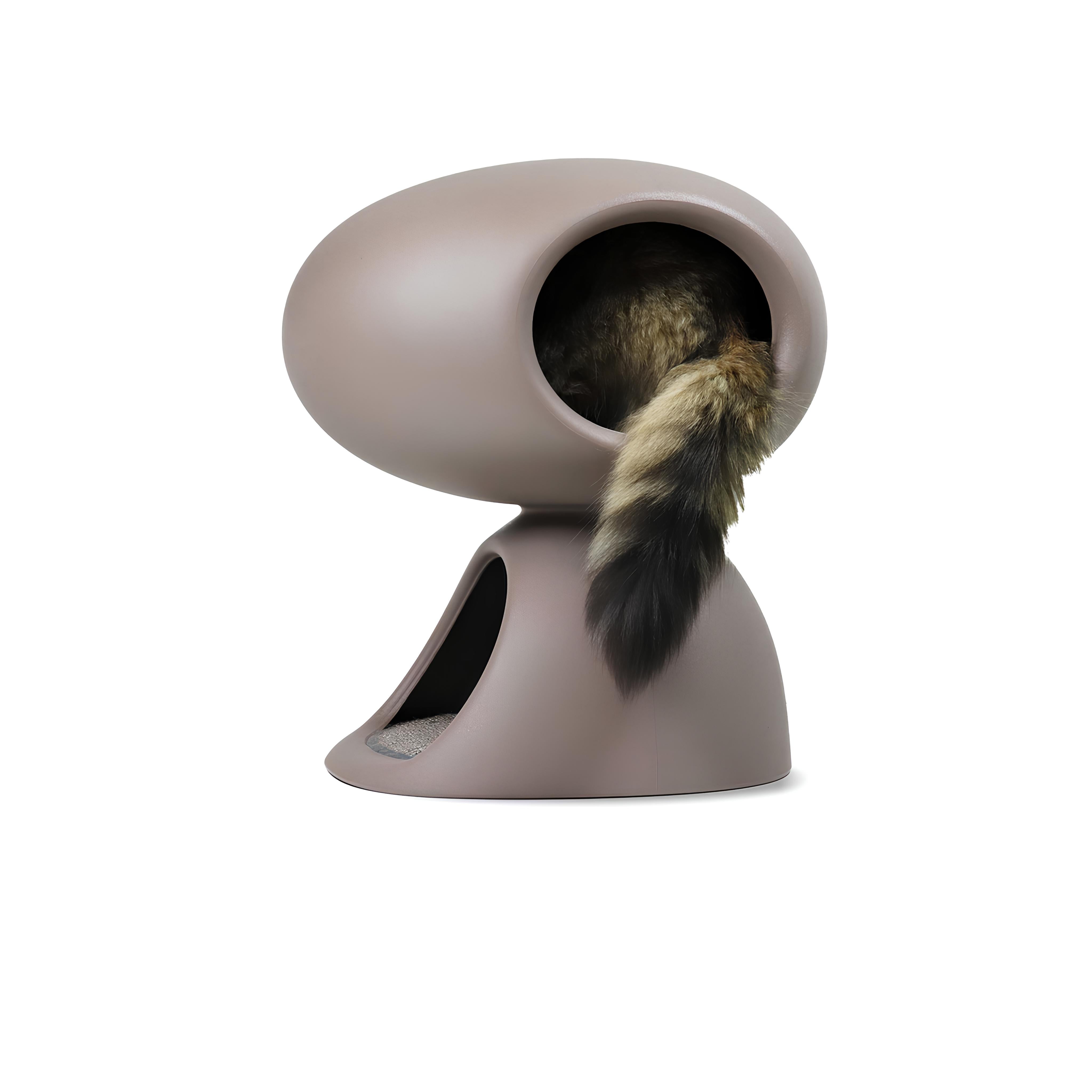 Gri Kedi Evi