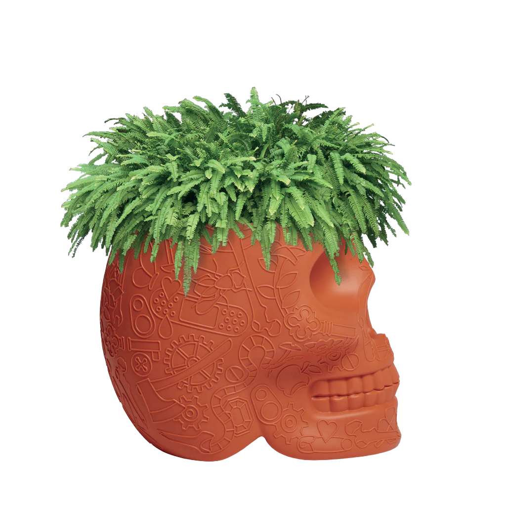 Qeeboo-Mexico Terracotta Saksı/şampanya Soğutucu-Dekoratif Saksı-4-Milagron.com