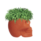 Qeeboo-Mexico Terracotta Saksı/şampanya Soğutucu-Dekoratif Saksı-4-Milagron.com