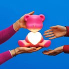 Teddy Love Xs Pembe Masa Lambası