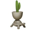 Qeeboo-Turtle Carry Gri Saksı/şampanya Soğutucu-Dekoratif Saksı-1-Milagron.com