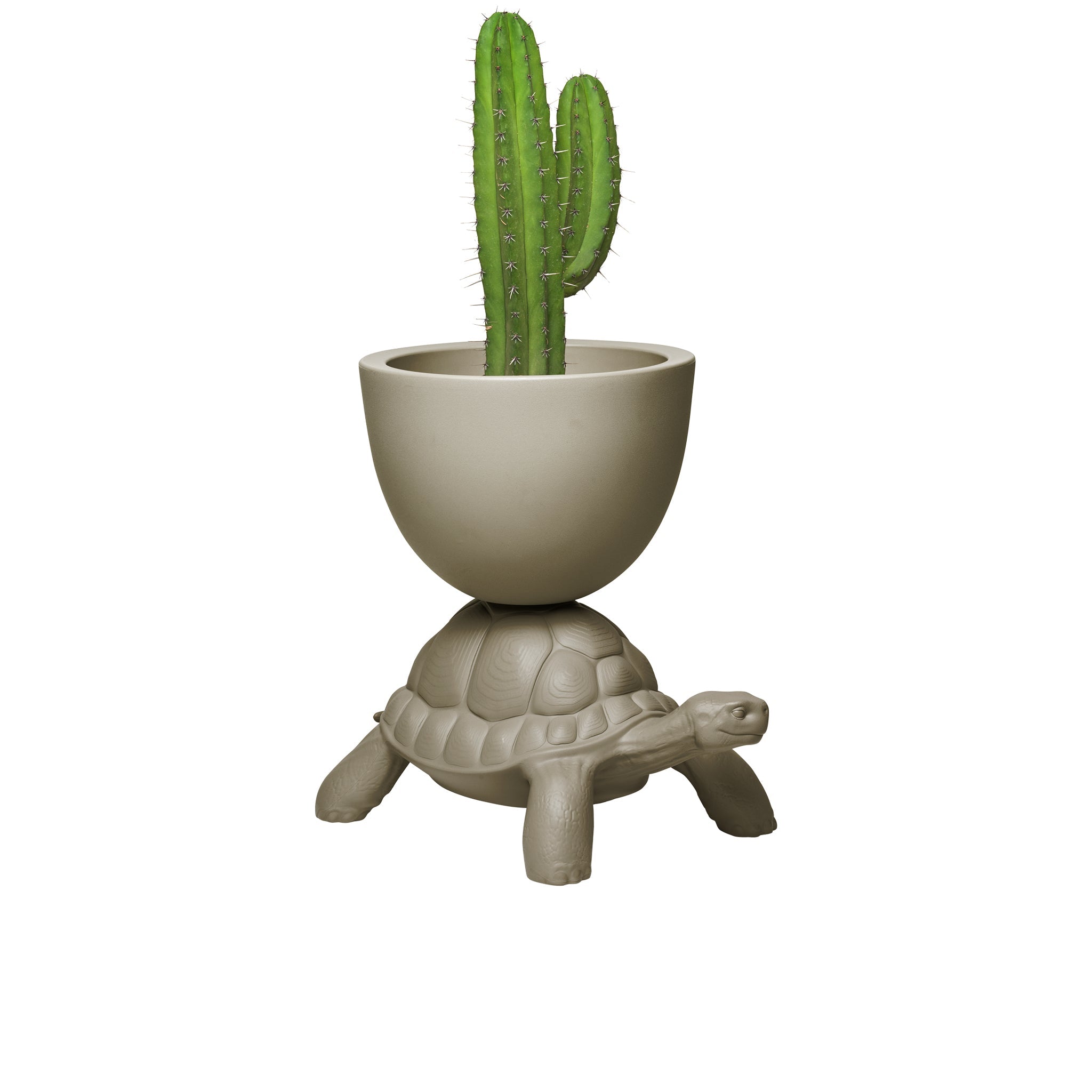 Qeeboo-Turtle Carry Gri Saksı/şampanya Soğutucu-Dekoratif Saksı-1-Milagron.com