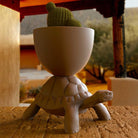 Qeeboo-Turtle Carry Gri Saksı/şampanya Soğutucu-Dekoratif Saksı-3-Milagron.com