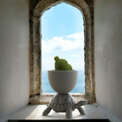 Qeeboo-Turtle Carry Gri Saksı/şampanya Soğutucu-Dekoratif Saksı-4-Milagron.com