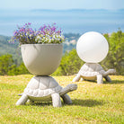 Qeeboo-Turtle Carry Gri Saksı/şampanya Soğutucu-Dekoratif Saksı-5-Milagron.com