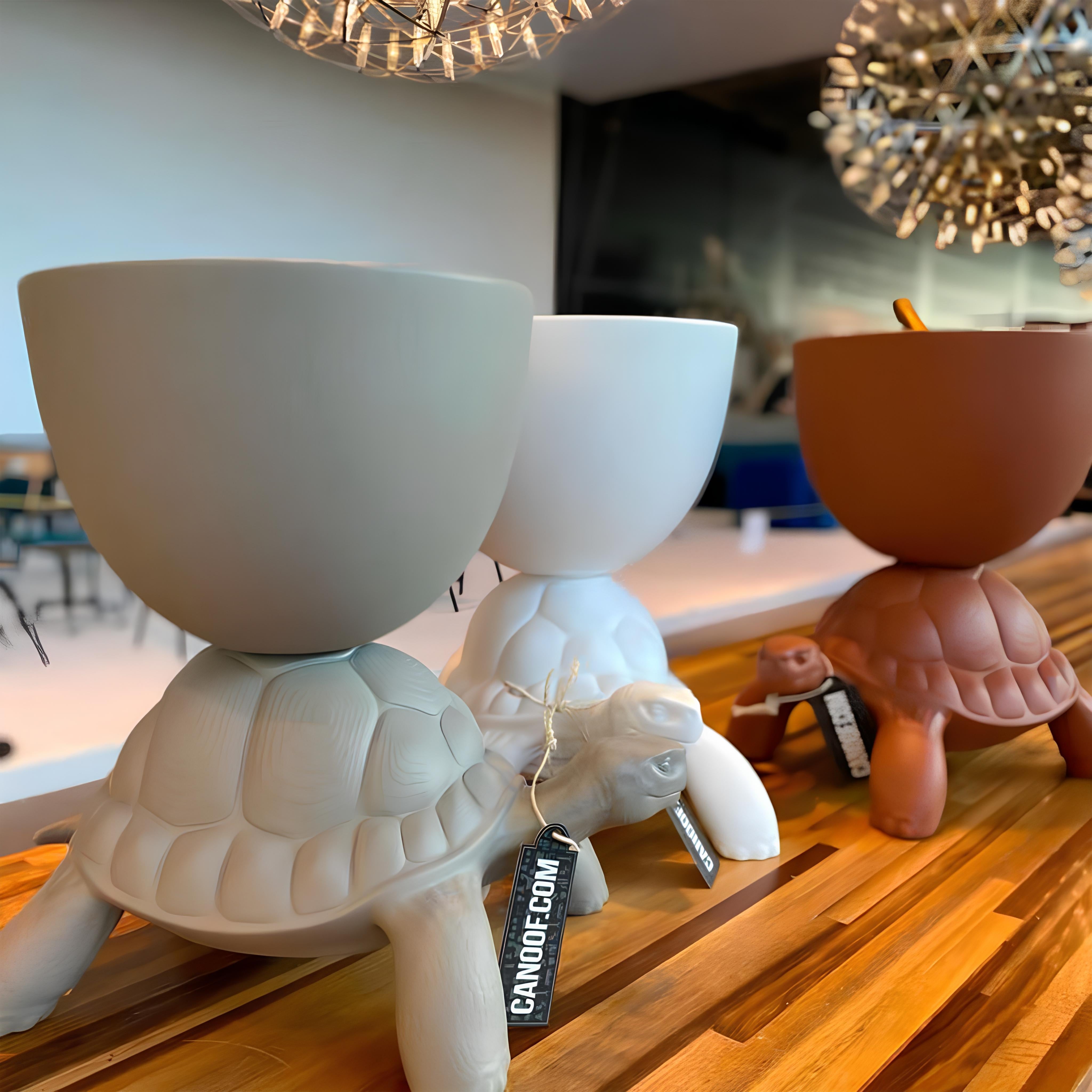 Qeeboo-Turtle Carry Terracotta Saksı/şampanya Soğutucu-Dekoratif Saksı-2-Milagron.com