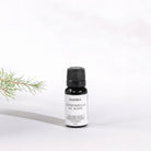 Citronella Oil Blend | Difüzör İÇin Yağ Karışımı