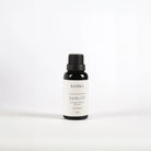 Jojoba Yağı | Soğuk Sıkım Taşıyıcı Yağ