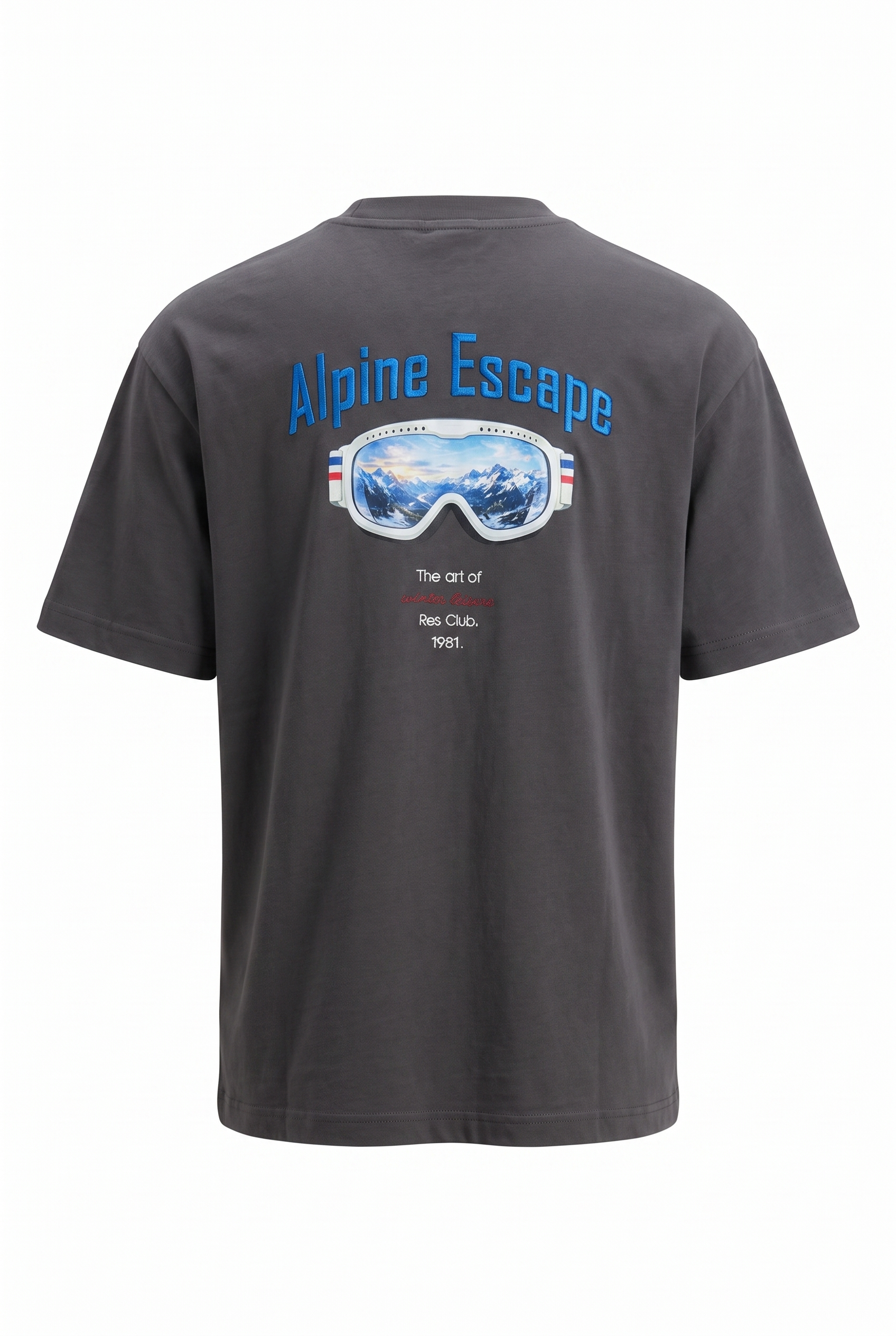 Erkek Alpine Nakışlı Oversize T-Shirt Füme
