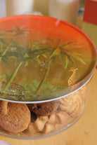 Rooms Design Studio-Wildest Dream 18x6 Büyük Kavanoz-Sunum Aksesuarları-3-Milagron.com