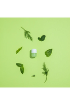 Shift-Fesleğen Ve Çimen Aromalı Duş Terapi Kapsülü-Duş Başlığı-3-Milagron.com