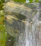 Battista Lambader 1L Beyaz-Fume Ø50X50X160 Cm E27 Led 1X16W